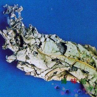 芙蓉胡李花木棉芙蓉叶