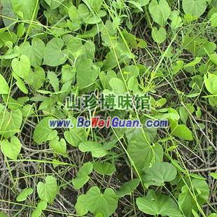 牛挣藤本宽筋藤干舒筋藤