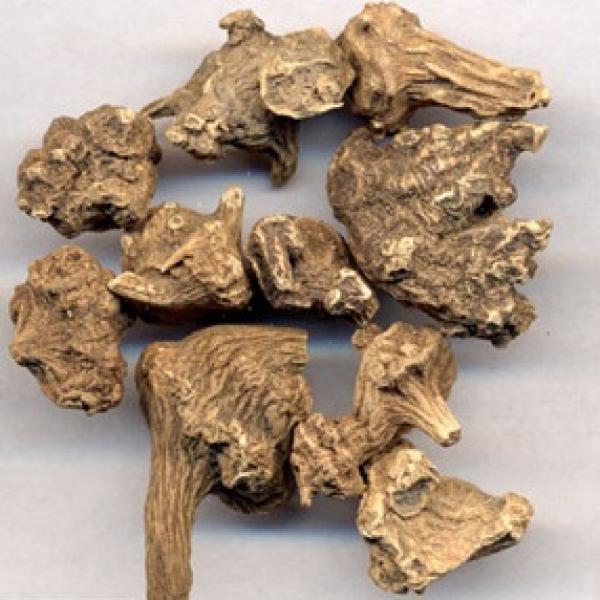 血三七精选正宗土血参