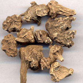 血三七精选正宗土血参