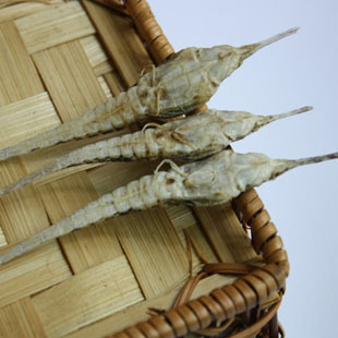 泡酒料海燕干精选海麻雀