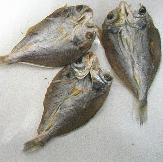 鲈鱼干正宗温州咸花鲈鱼干