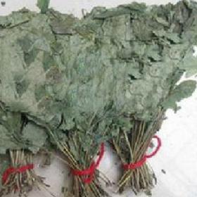 精选人参叶干野生人参叶