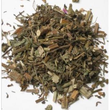 山茅石灰草诸葛芸香草