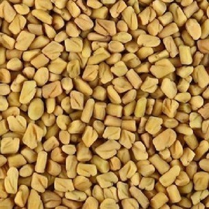 葫芦巴籽芦巴子香草籽