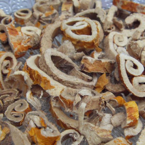 正宗桑白皮野生桑白皮