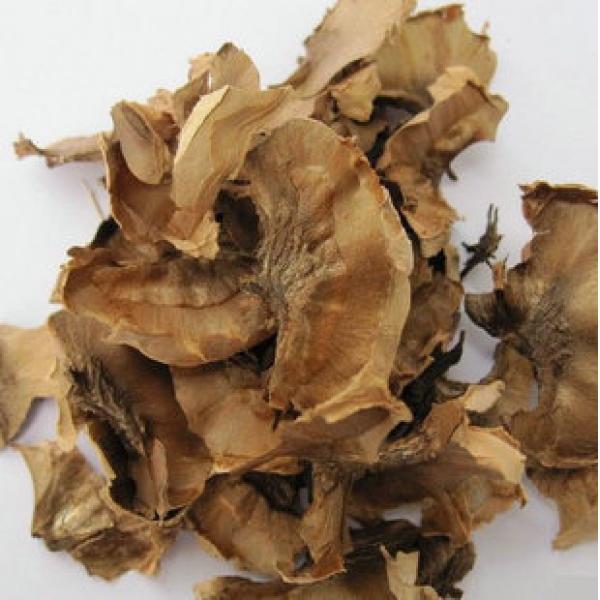 分心木胡桃分心木野桃核分心木