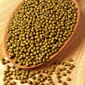 广西巴马绿豆正宗绿豆子