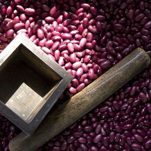 广西巴马红豆正宗红豆子