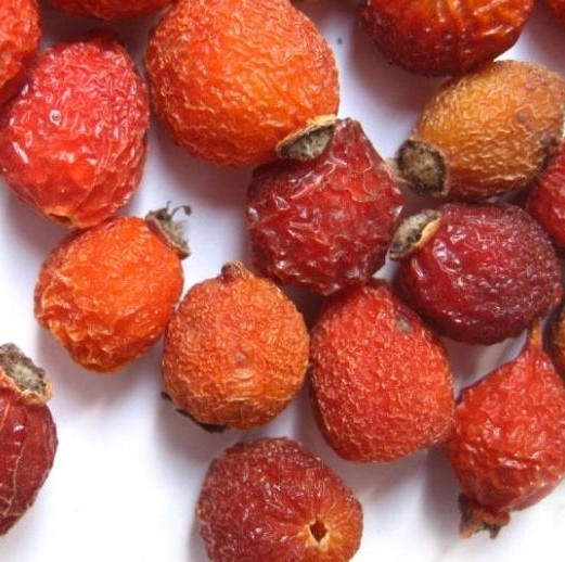 正宗蔷薇果野生蔷薇果