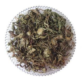 精选优质正宗紫花地丁