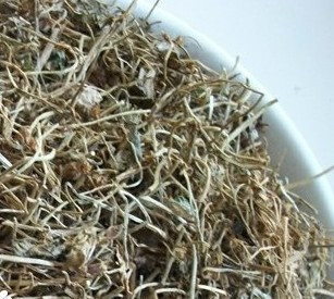 星星草精选正宗画眉草