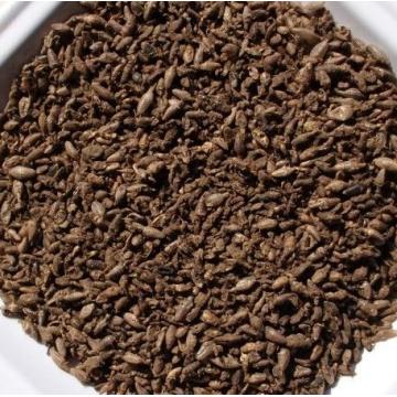 精选高品质蚁蛉幼虫干