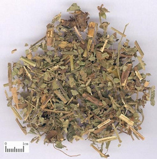 龙牙草 狼牙草 仙鹤草