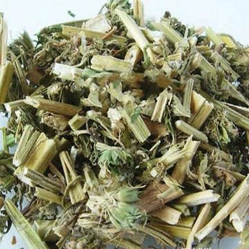 益母草花茶野生美人草