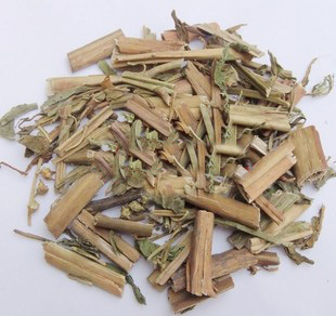 扯根菜 赶黄草 水泽兰