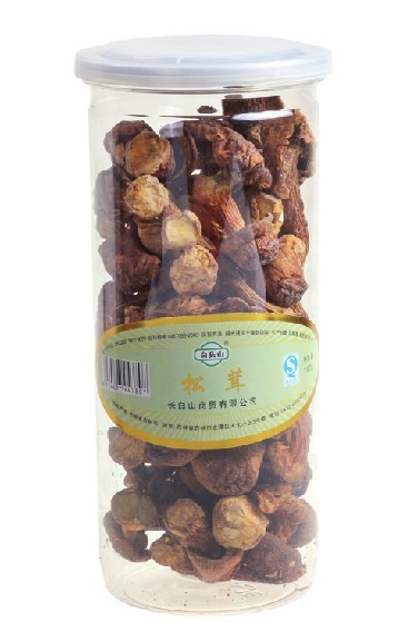 山木耳榛蘑松茸元蘑菇