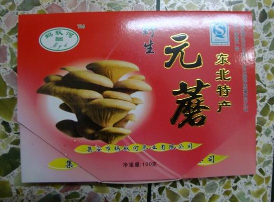 猴头菇山木耳元菇榛菇