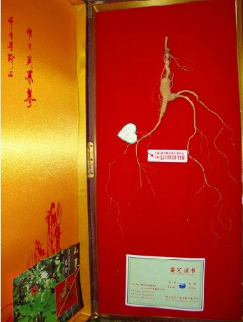 正宗林下参礼盒山参礼盒