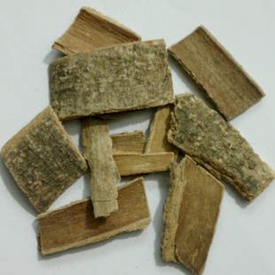 鸭脚木树皮野生鸭脚木