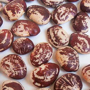 正宗韶关花豆肾豆花豆干