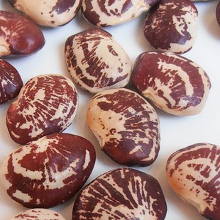 正宗韶关花豆肾豆花豆干