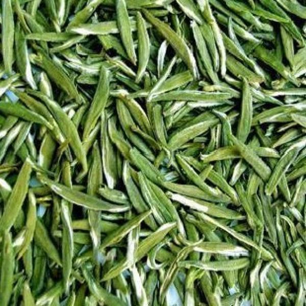 绿雪牙茶精选绿茶嫩芽毛尖雪芽