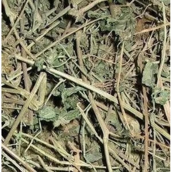 金莲花凤尾蕨鸡爪全草