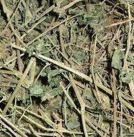 金莲花凤尾蕨鸡爪全草