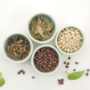 薏仁红豆淡竹叶马齿苋