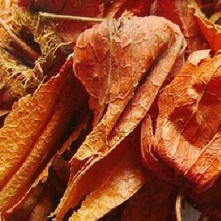 灯笼花干花精选灯笼花