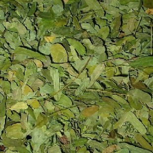 相思叶山甘草寸节七草