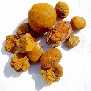 牛结石胆黄纯野生牛黄