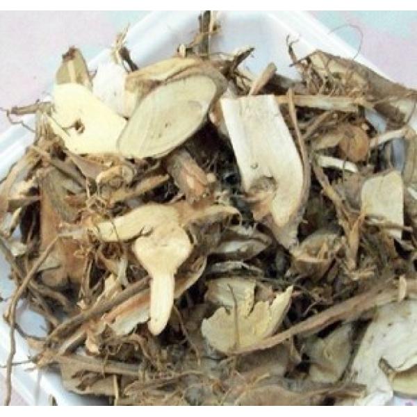 草棉根蜜根野生棉花根