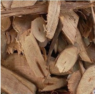 千斤藤刺葡萄山葡萄根