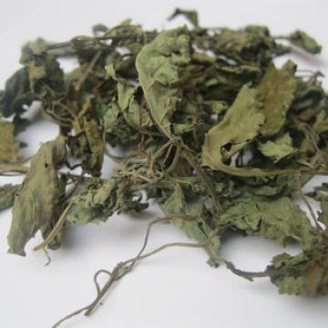 正宗济源纯野生冬凌草