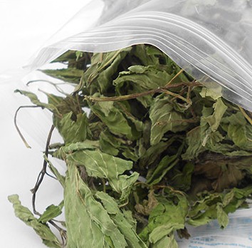 精选薄荷叶野生薄荷叶茶