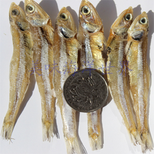 新鲜小燕鱼晒干小燕鱼干