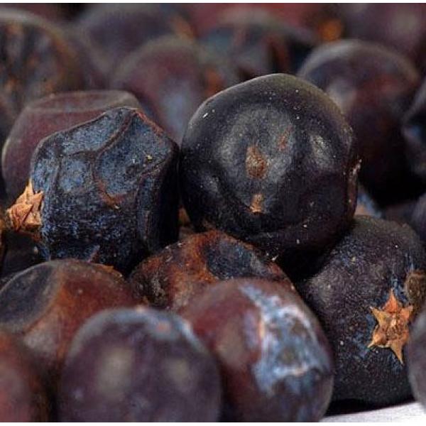 欧洲烹调调味杜松果茶