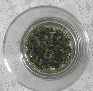 日照绿茶春茶露天茶叶