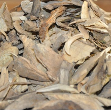 云南毛冬青根野生毛冬青根