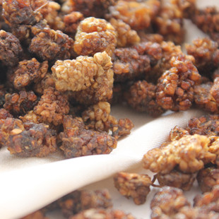 新疆桑葚沙桑枣白椹子