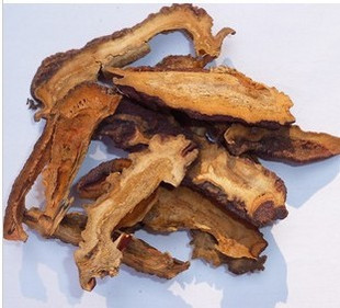 贴梗木瓜宣木皱皮木瓜