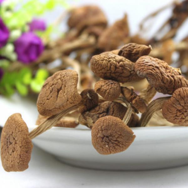 茶树菇干蘑菇正宗神农架茶树菇
