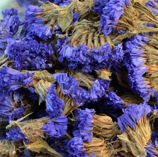 精选勿忘我天然勿忘我花