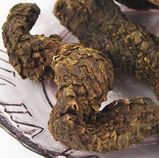 肉苁蓉阿拉善肉苁蓉野生肉苁蓉