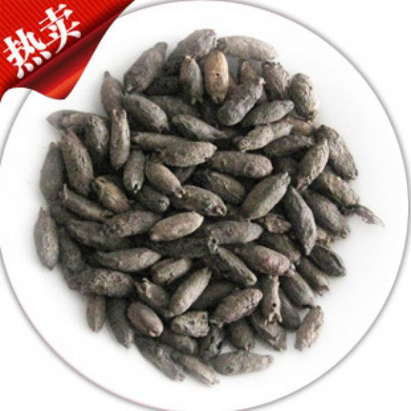 厨房调味料雌丁香母丁香