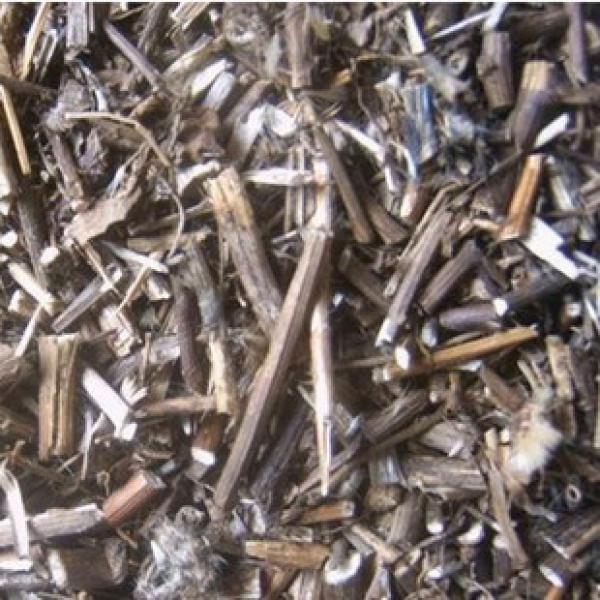 正宗野生九里明黄花母