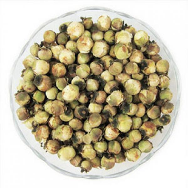 野生山茶花优质山茶花