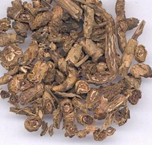 精选正宗玄参科胡黄连